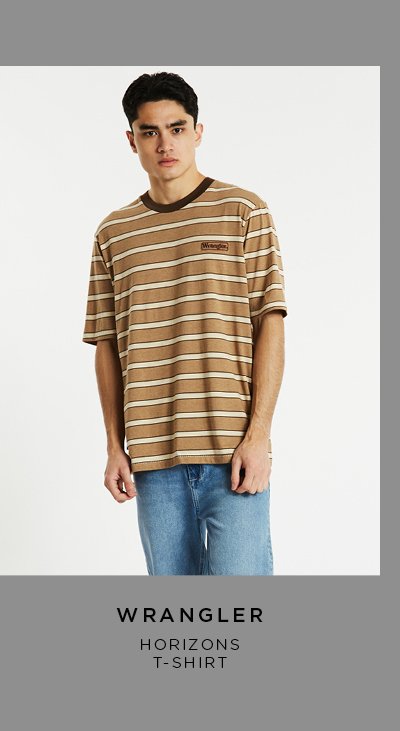 Horizons T-Shirt Brown