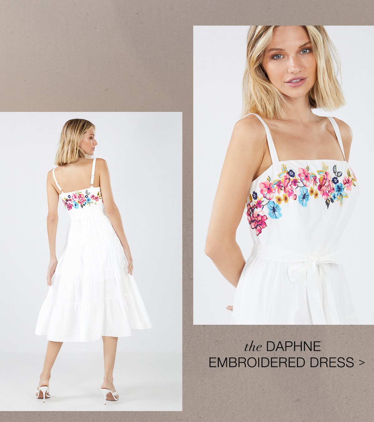 the Daphne Embroidered Dress