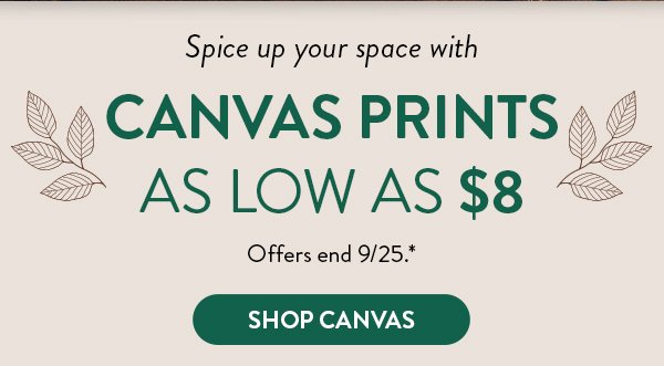 Spice up your space with canvas prints as low as 8 dollars. Offers end September 25. See * for details.