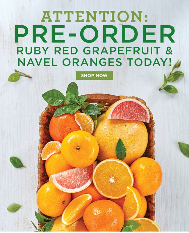 Pre-Order Citrus Today!