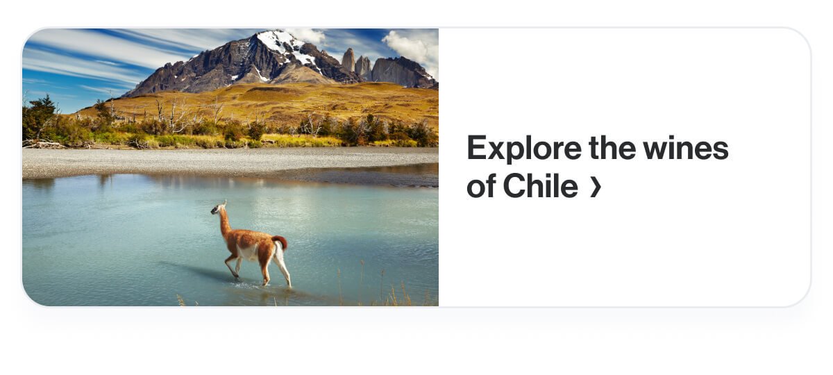 Explore the wines of Chile