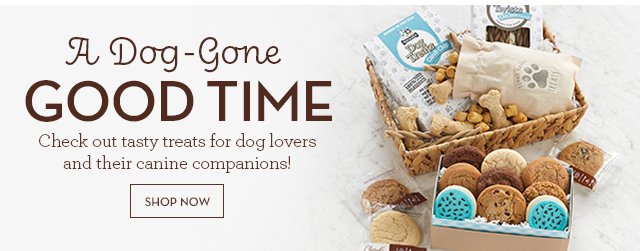 A Dog-Gone Good Time - Check out tasty treats for dog lovers and their canine companions!