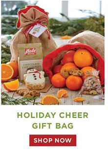 Holiday Cheer Gift Bag