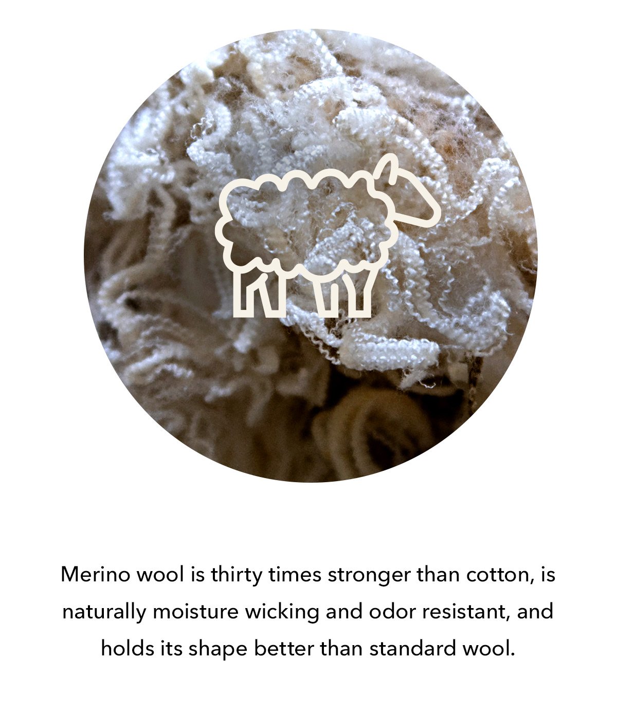 Merino wool is thirty times stronger than cotton, is naturally moisture wicking and odor resistant, and holds it shape better than standard wool.