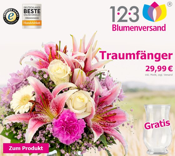 Ein Farberlebnis der besonderen Art. Blumengruß Traumfänger mit gratis Vase für 29,99 €