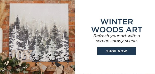 Snowy Forest Canvas Art Print