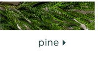 Norfolk Pine Natural Touch Wreath