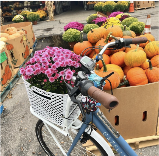 A bicycle parked by a pumpkin patch.