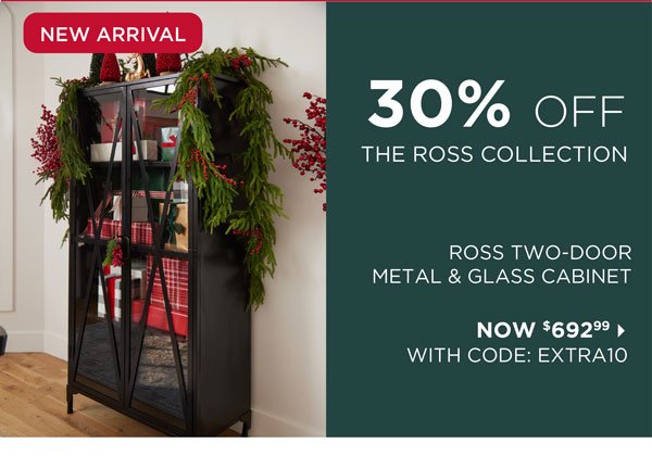 Ross Two-Door Metal & Glass Cabinet