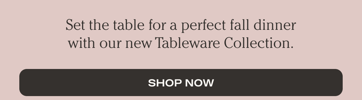 Set the table for a perfect fall dinner with our new Tableware Collection. | Shop Now