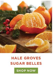 Hale Groves Sugar Belles