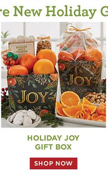 Holiday Joy Gift Box