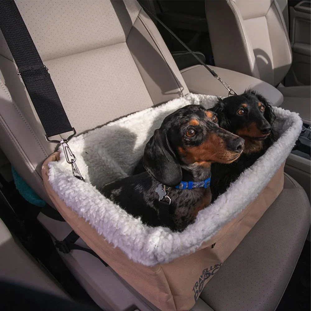 Image of Car Safety Seat