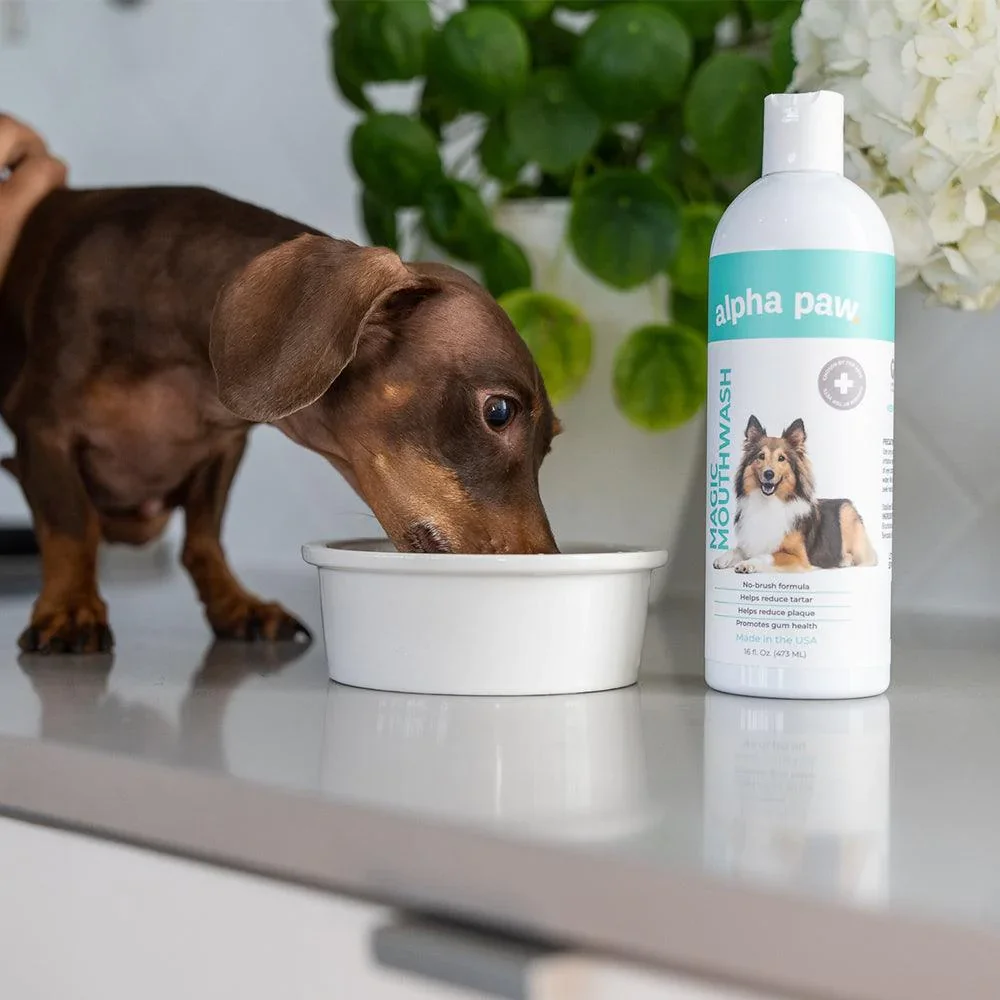 Image of Magic Mouthwash™ For Dogs