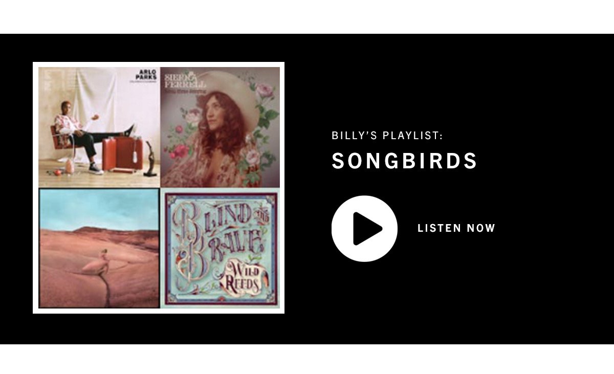 Songbirds Billy's Playlist