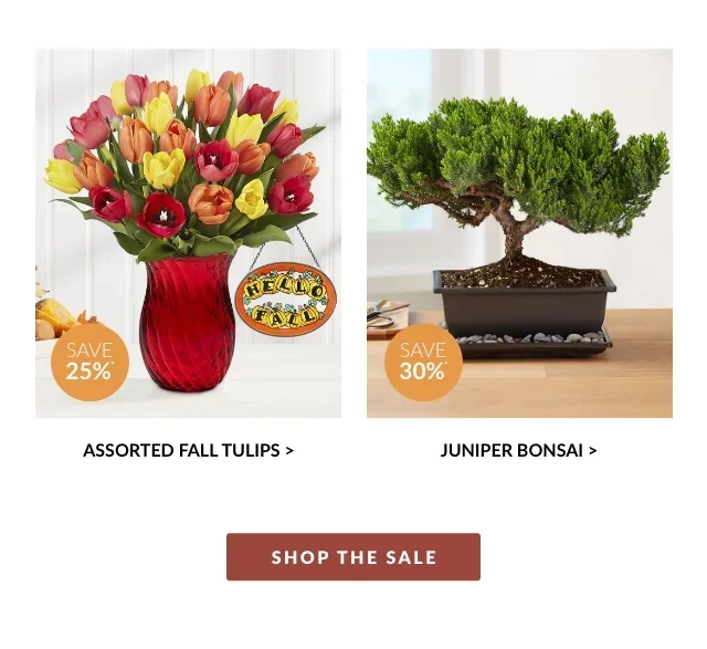 Save Up To 40%* On Flowers & Gifts
