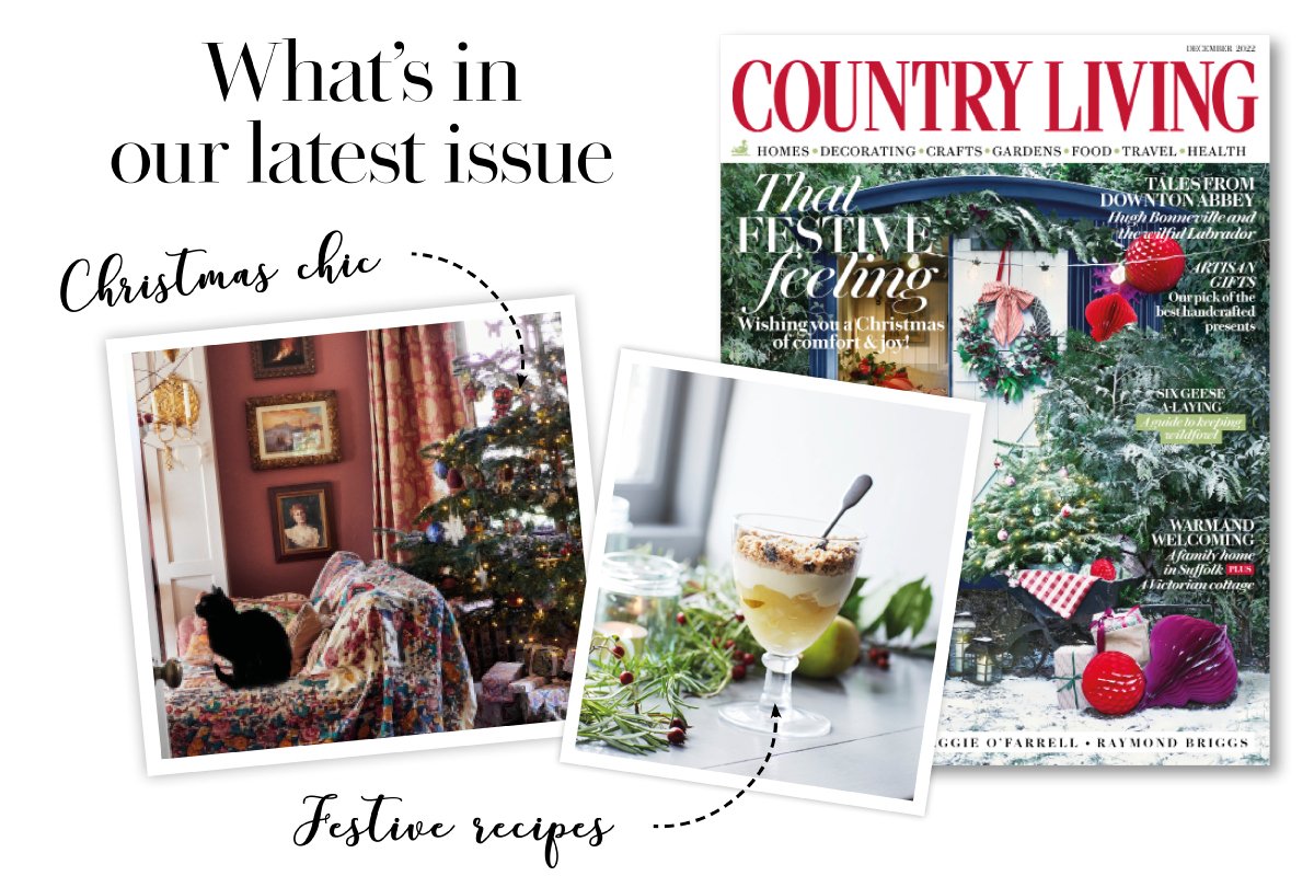 what's in the Christmas issue?