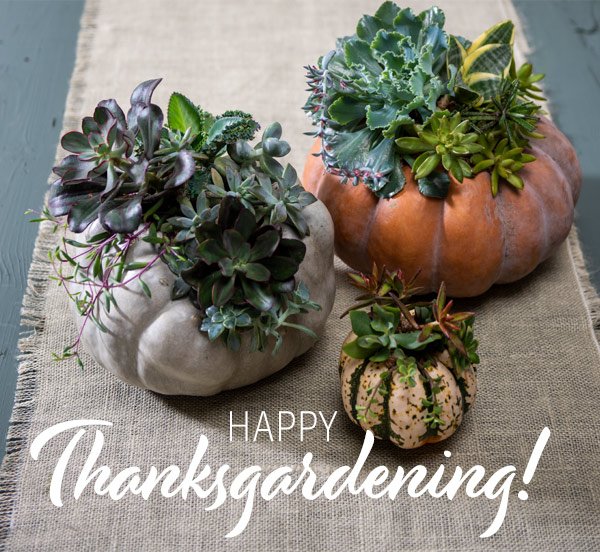 Happy Thanksgardening!