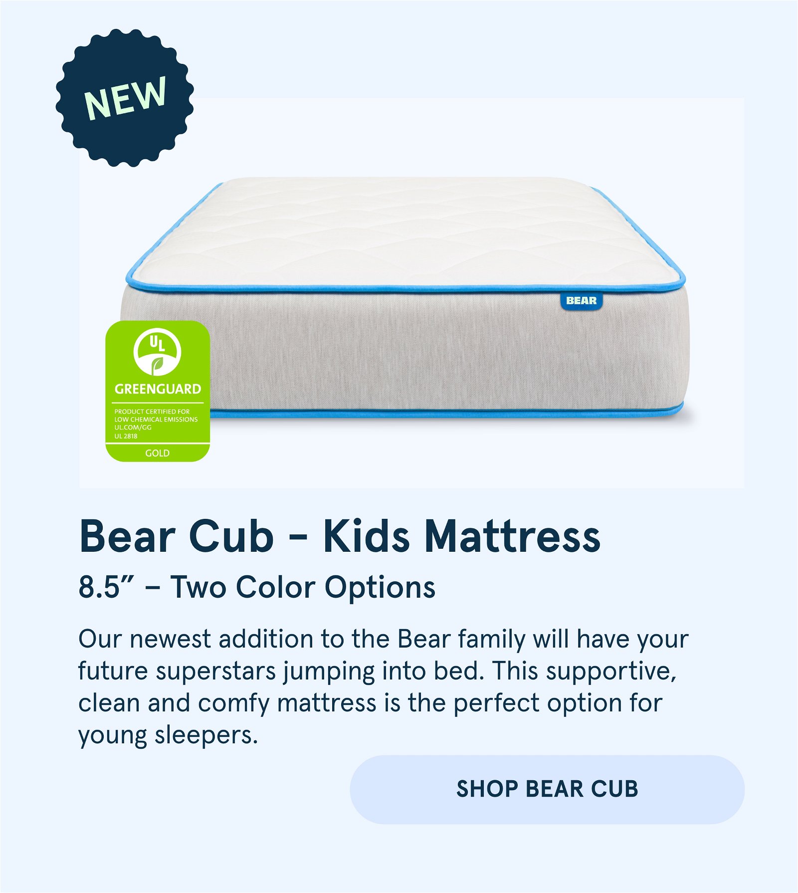 Shop Bear Cub