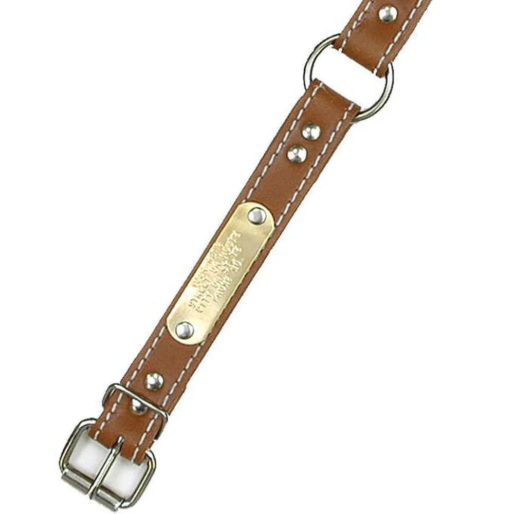 DOUBLE PLY 1" WIDE STITCHED LEATHER DOG COLLAR - RING-N-CENTER