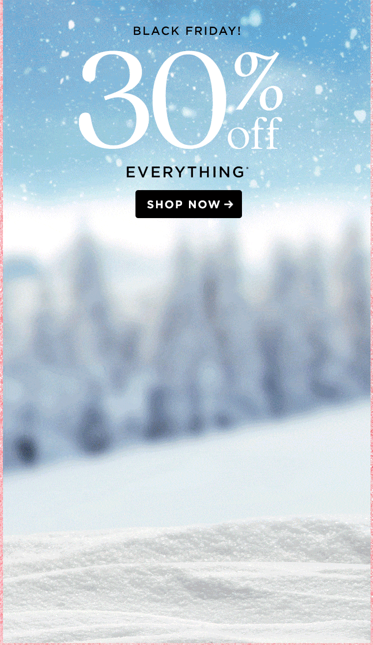 30% off everything*