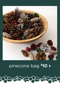Pinecone Bag
