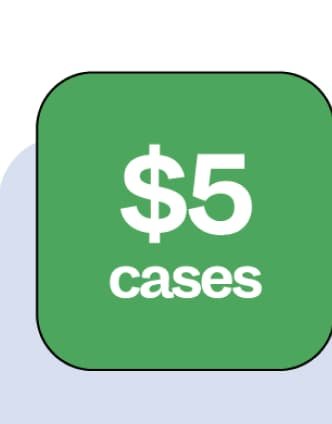 $5 cases