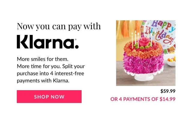 Now You Can Pay With Klarna