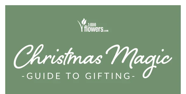 All That Christmas Magic - Guide to Gifting