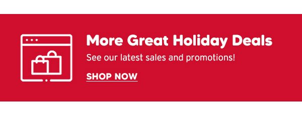 MORE GREAT HOLIDAY DEALS
